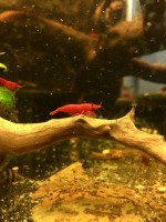 /album/fotogalerij/foto-30-08-17-19-29-20-preview-jpeg/